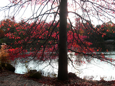 Click for fullsize view