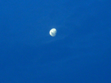 Click for fullsize view